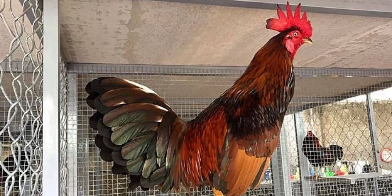 Kiểm soát nhiệt độ và độ ẩm thích hợp