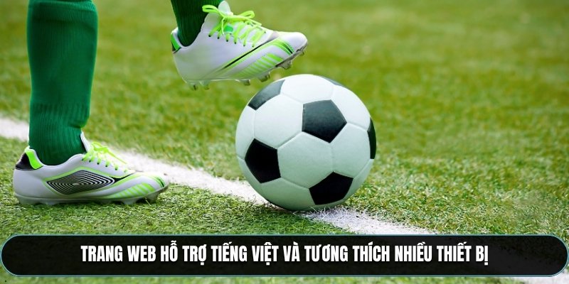 Trang web hỗ trợ tiếng Việt và tương thích nhiều thiết bị