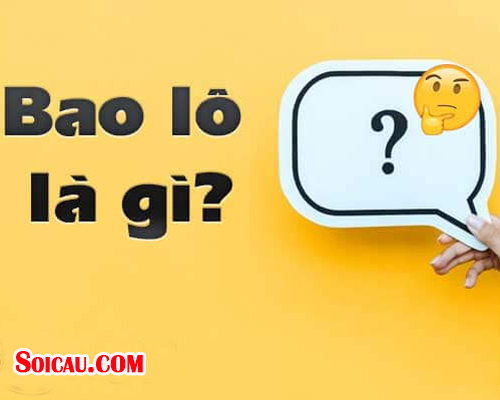 Bao lô là gì?